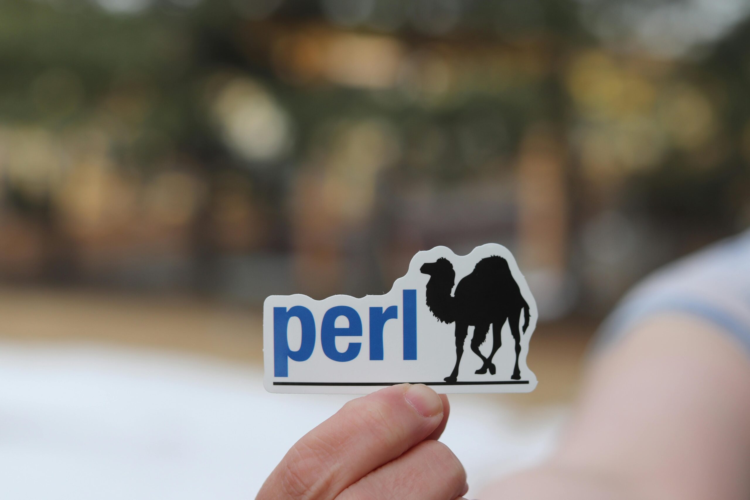 【Perl開発実践ガイド】レガシーシステムを現代化するアプローチとテクニック