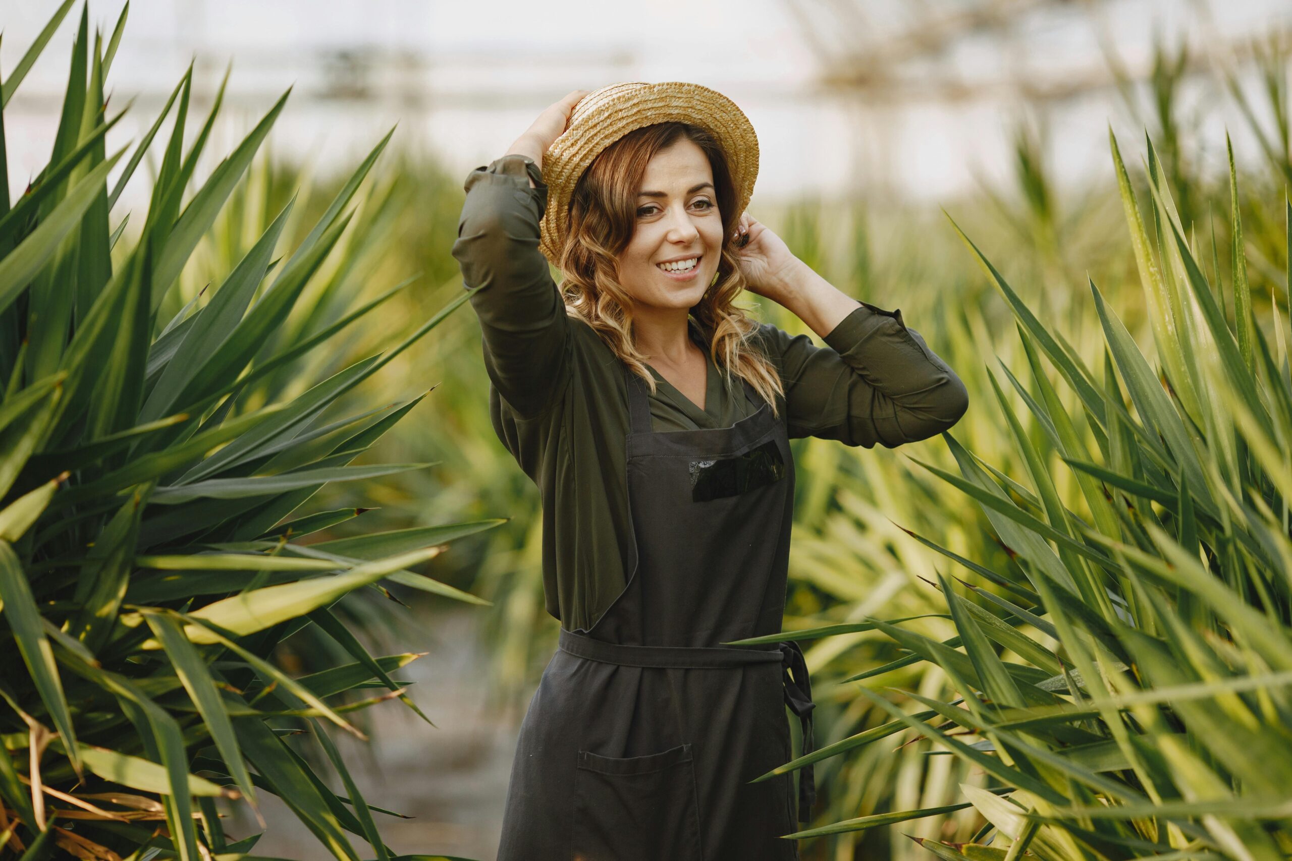 2025年最新【グリーンテック開発完全ガイド】環境負荷50%削減を実現する革新的システムの構築と運用戦略