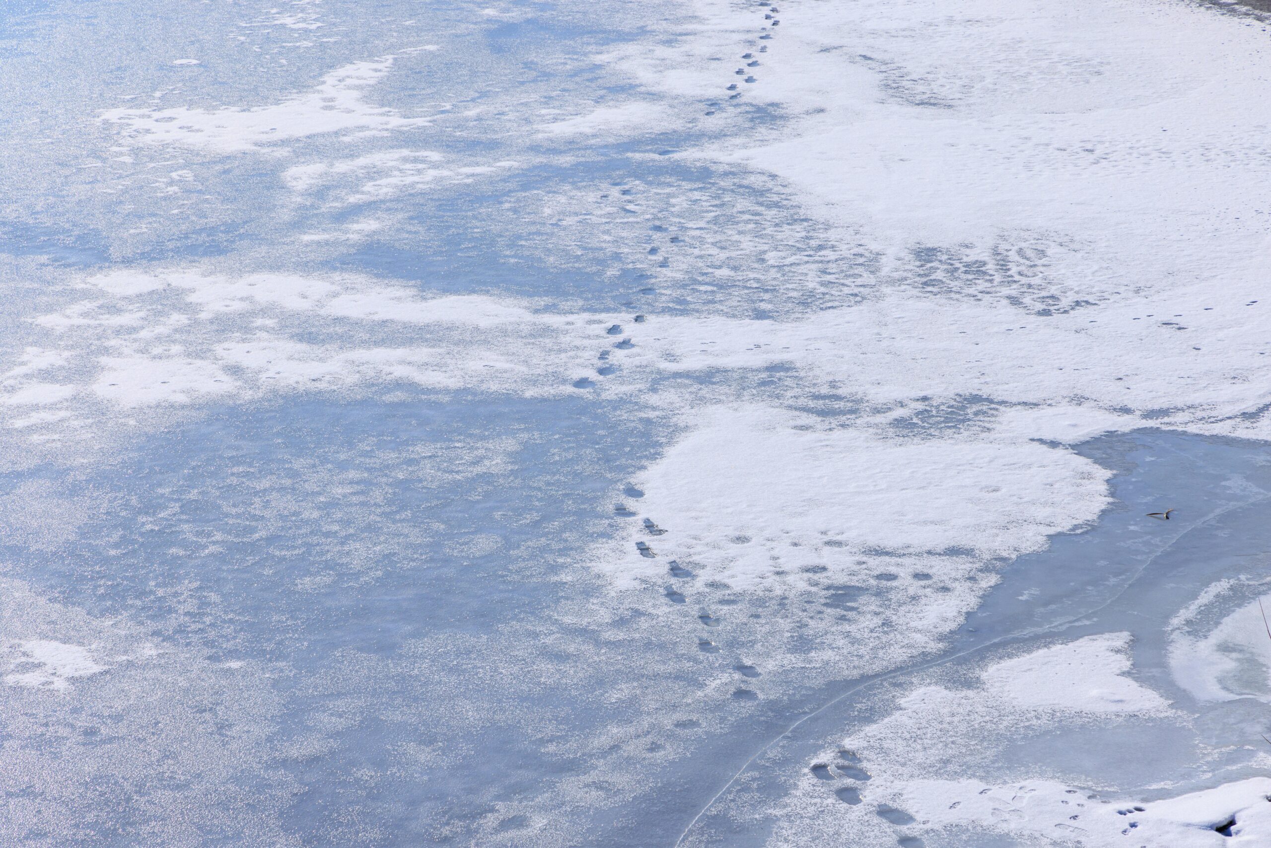 2025年最新【クラウドログ管理開発ガイド】AI分析による次世代ログ分析基盤の構築・運用